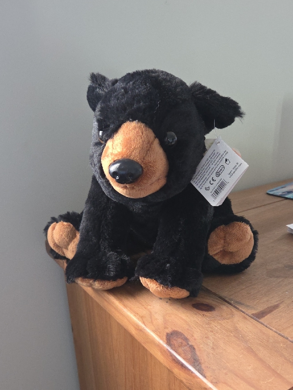 Wild Republic Plush Black Bear